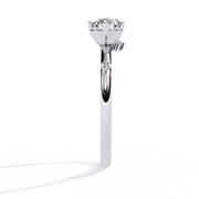 The Minimalist Marquis Accent