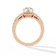 The Geometric Hexagon Halo