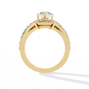 The Geometric Hexagon Halo
