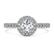 Eternity halo solitaire ring